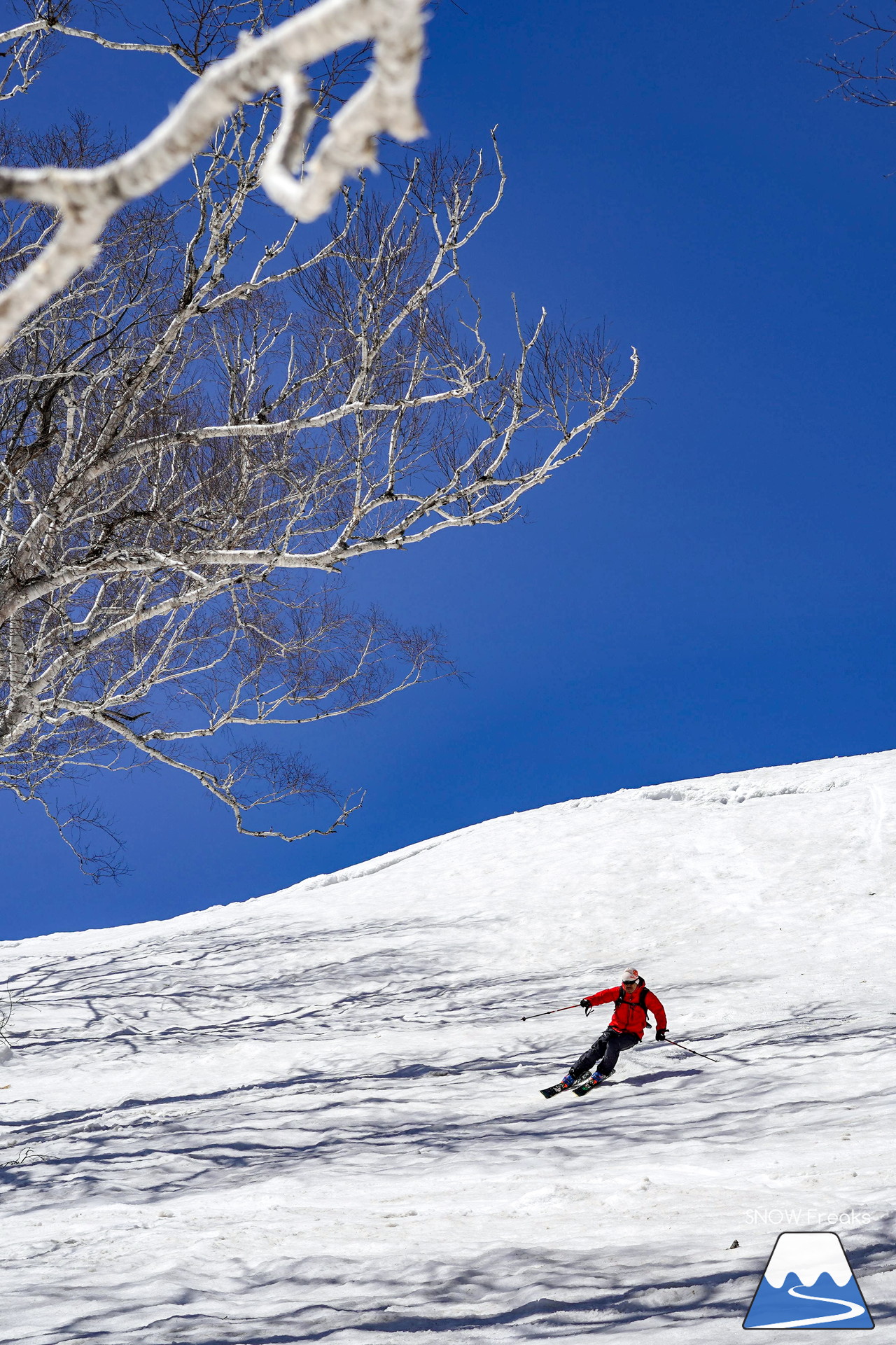 ニセコグラン・ヒラフ DYNASTAR SKI TEST RIDE DAYS Photo Session!!最高の天気に恵まれたニセコに、最高の仲間たちが集まりました☆